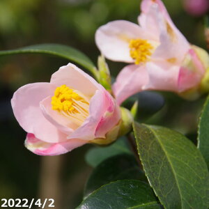 ց@c@̉@}3Nc@4 i엿tjyA`DAzy֕c coLzy~͑f  Ԗ؁z yց@c؁z _kki