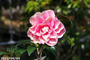 ց@c@HiЂ炢Ɓj@}4Nc@5@i엿tj@yA`DAzy֕c coLzyԁzy~͑fށzyԖ؁zyց@c؁z