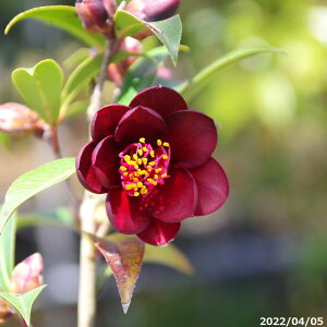  c mց@iCgC_[ 6N}ؕc7 i엿tjyA`DAzy֕c coLzyA ؁zy Ԗ؁zyԁzy c؁z
