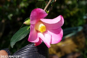 m c@`[bv^C 4N}ؕc 5i엿tj@yA`DAzy֕c coLzyԖ؁zy c؁z _kki