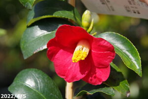  c@Ԏ 4N}ؕc 5 i엿tj@yA`DAzy֕c coLzy~͑f  Ԗ؁zy c؁z _kki