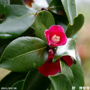 ց@c@Vώ@3N}ؕc@4[ i엿tjyA`DAzy֕c coLzy~͑fށzyԁzyԖ؁zyrccoLzy c؁z _kki