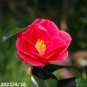  c@gs 2N}ؕc 3i9cm|bgji엿tj@yA`DAzy֕c coLzyA ؁zy Ԗ؁zyԁzy c؁z