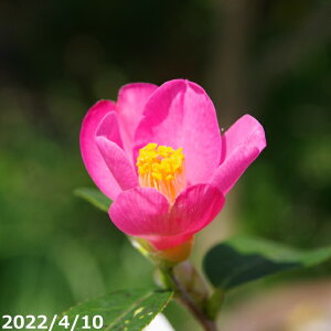 ց@c@Ђȍ@2N}ؕc@3i9cm) i엿tjyA`DAzy֕c coLzy~͑fށzyԁzy~j~ czyԖ؁zyց@c؁z