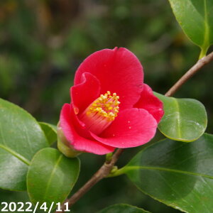 ց@c@S@4N}ؕc@5@ i엿tj@yA`DAzy֕c coLzy~͑fށzyԁzyԖ؁zyց@c؁z