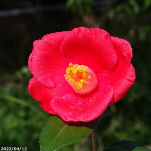  c@g 4N}ؕc 5 i엿tjyA`DAzy֕c coLzy~͑fށzyԁzyԖ؁zy c؁z _kki