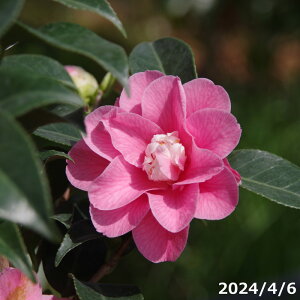  c@H(Ђ炢) (B) 3N}ؕc 4.5 i엿tjyA`DAzy֕c coLzyԁzy~͑fށzyԖ؁zy c؁z