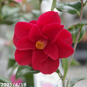 mց@c@bhzbc@3N}ؕc@4i12cmji엿tjyA`DAzy֕c coLzyԖ؁zyց@c؁z