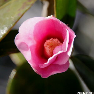  c@g 3N}ؕc 4[ i엿tj yA`DAzy֕c coLzy~͑fށzyԁzyԖ؁zyrXPcoL ̏zy c؁z _kki