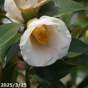  c@P 5i엿tjyA`DAzy֕c coLzyA ؁zy Ԗ؁zyԁzy c؁z