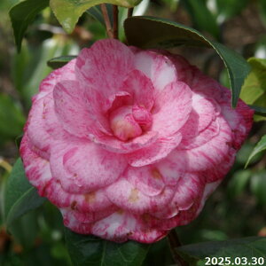 m c@nCWNX 4N 5i엿tjyA`DAzy֕c coLzyԖ؁zy c؁z