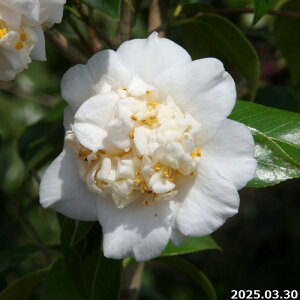  c@q 4N}ؕc 5 i엿tj yA`DAzy֕c coLzy~͑fށzyԁzyԖ؁zy c؁z