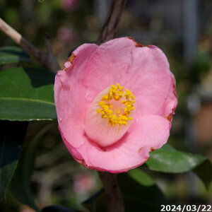 yN[|sI `9/25z c@V 6N}ؕc 7 i엿tj@yA`DAzy֕c coLzyA ؁zy~͑fށzyԁzy c؁z