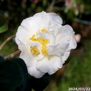  c@_y }4Nc 5 i엿tjyA`DAzy֕c coLzyA ؁zy~͑fށzyԁzy c؁z