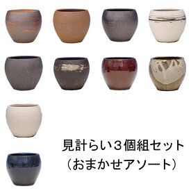 楽天市場 まめな盆栽の通販