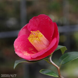 yő50%OFFN[|sIzց@c@IB_@2N}ؕc@3i9cm|bg) i엿tj@yA`DAzy֕c coLzy~͑fށzyԁzy~j~ czyԖ