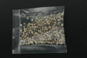 yő50%OFFN[|sIzԃnX𗧔hɍ炩@엿iZj@10g×10܁@y^izy^iz