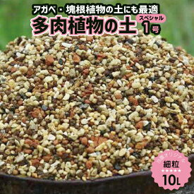 元祖多肉植物の土 スペシャル1号(細粒) 10L　弊園謹製 手練り（長期肥料付） 天然鉱物質100％　焼赤玉土倍増！更に水はけを良くしたベランダ・軒下栽培向き「多肉植物の土」【送料無料】 【用土 肥料 寄せ植え】【アガベ 塊根植物】