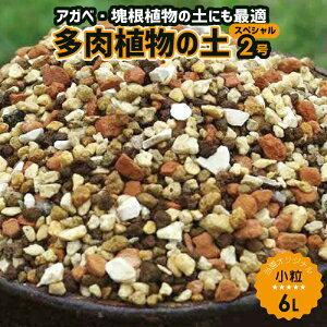 cA̓y XyV2() 6Li4.2kg`4.3kgj@ސ i엿tj VRz100@Đԋʓy{IXɐ͂ǂGPxAEZyuȂł悭