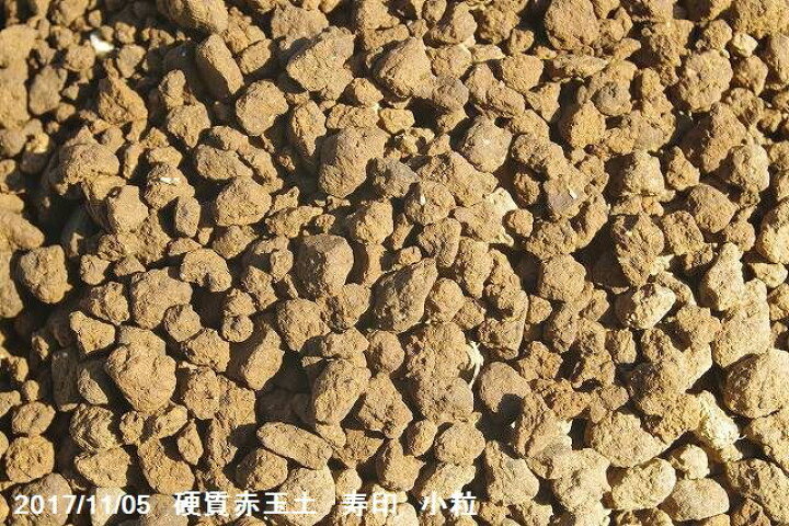国産 めだかの土 焼赤玉土 水が濁りにくい 1l メダカのための