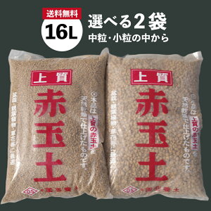 Ȗ،Y ㎿ ԋʓy Iׂ2܁iEj16Li10.5-11kgj×2@yzyh̓yzyR쑐̓yzyϗtA̓yzy|̓yzy؁EԖ؂̓yzyo̓yzyN̓yz