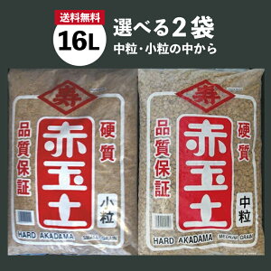 dԋʓy @Iׂ2܃ZbgiEj 16L×2܁@yzyANAEEeEEo_Ezy_J̒yzy򉻁zypyE엿z