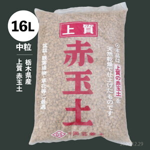 Ȗ،Y ㎿ ԋʓy @16Li10.5-11kgj@yh̓yzyR쑐̓yzyϗtA̓yzy|̓yzy؁EԖ؂̓yzyo̓yzyN̓yzypyz