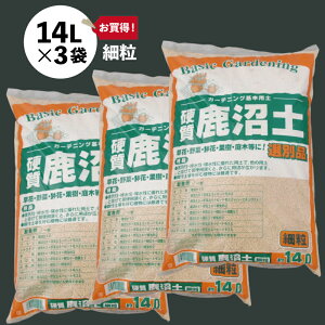 d y@ח 14L×3܁@yؗpy }ؗpy ؂̓yzypyz