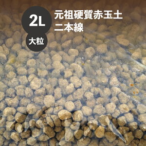 cdԋʓy@{@嗱@2L@y~͂̓yENX}X[Y̓yE̓yE{^AVNN̓yEኄ̓yz