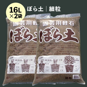 ڂy@ח@16L×2@y{py |py y y΁z