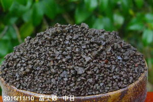 テラリウム 砂 熱帯魚 アクアリウム用品の人気商品 通販 価格比較 価格 Com