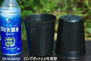 yő50%OFFN[|sIz||bgirj[|bgj@ʋC悭lbgsṽO|bg3.5[^(10.5cm)(p4ꌊ4)@50yAؔz