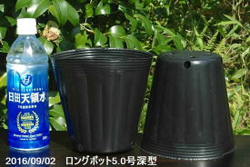楽天市場 ビニールポットの通販 楽天市場 ビニールポットの通販