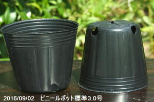 プランター ビニールの人気商品 通販 価格比較 価格 Com