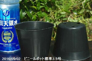 プランター ビニールの人気商品 通販 価格比較 価格 Com プランター ビニールの人気商品 通販 価格比較 価格 Com