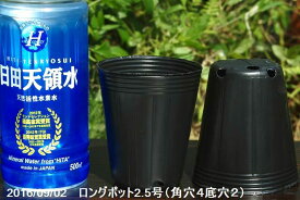 楽天市場 ビニールポットの通販
