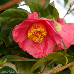  c@@(g@)(B) 3N}ؕc 4.5i엿tj yA`DAzy֕c coLzy~͑fށzyԁzy~j~ czyԖ؁zyց@c؁z