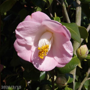  c@Y @4N}ؕc@5@85-95cmi엿tjyA`DAzy֕c coLzy~͑f  Ԗ؁zyց@c؁z