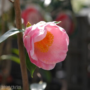  c@ 2N}ؕc 3i9cm|bgji10`11炫j i엿tj@yA`DAzy֕c coLzy~͑fށzyԁzyԖ؁zyӏH̒ցzy c؁z