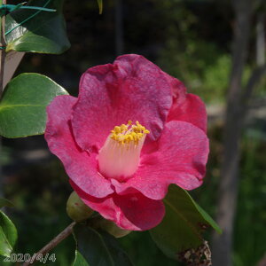  c@Xʁ@3N}ؕc@4@i엿tj@yA`DAzy֕c coLzy~͑f  Ԗ؁zyց@c؁z