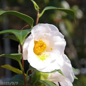 yN[|sI `9/25z c@炫ց@ij }4Nc 5 i엿tjyA`DAzy֕c coLzy~͑fށzyԁzyԖ؁zy c؁z _kki