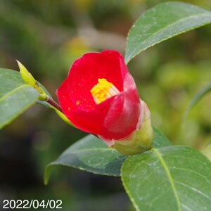 yN[|sI `9/25zց@c@q̏@2N}ؕc@3i9cm|bgj i엿tjyA`DAzy֕c coLzy~͑fށzyԁzy~j~ czyԖ؁zy