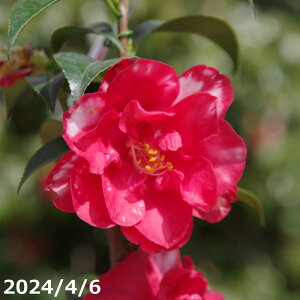  c@V(B) 3N}ؕc 5 i엿tj yA`DAzy֕c coLzy~͑fށzyԁzyԖ؁zy c؁z