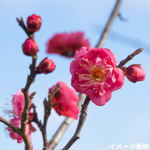 yiE_No.8821z c ~@g~ 8 1.6mi엿tjyzyA ؁zy Ԗ؁zyc؁z