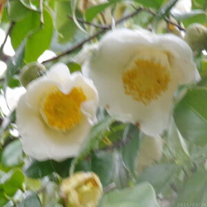 c Ζ{(B)@3N}ؕc@4i엿tj@yA`DAzy֕c coLzy~͑f  Ԗ؁zyց@c؁z _kki