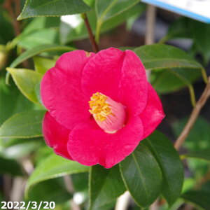 ց@c@܌P@}2Nc@3 i엿tjyA`DAzy֕c coLzy~͑f  Ԗ؁zyց@c؁z