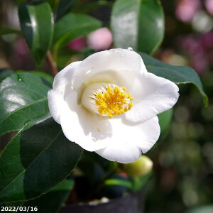 yő50%OFFN[|sIzց@c@M@2N}ؕc@3 i엿tj@yA`DAzy֕c coLzy~͑fށzyԁzyԖ؁zyց@c؁z