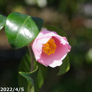 ց@c@ዷ@}4Nc@5 i엿tj@yA`DAzy֕c coLzyԁzy~͑fށzyԖ؁zyց@c؁z