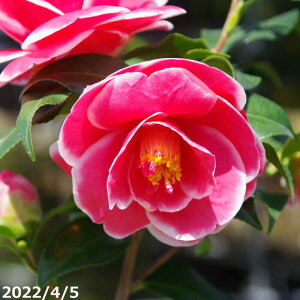  c@F̉Y 4N}ؕc 5 i엿tj yA`DAzy֕c coLzyԁzy~͑fށzyԖ؁zy c؁z _kki