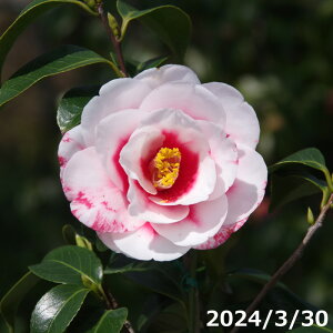 mց@c@i^}EAJ[i }4Nc 5 50`60cmi엿tj yA`DAzy֕c coLzy~j~ czyԖ؁zy c؁z _kki
